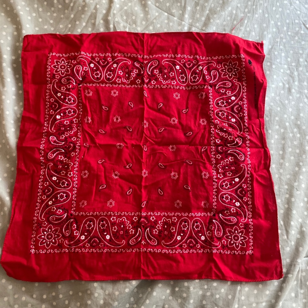 red bandana cowboy rodeo